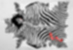 SkinCityZebraRugwWebsite_edited.jpg