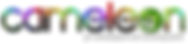 Cameleon Logo